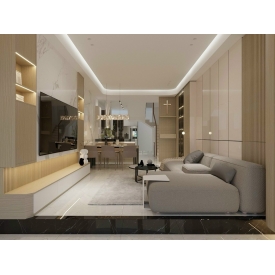 Thiết kế nhà phố Nguyễn Bỉnh Khiêm, Bình Thạnh, TP.HCM